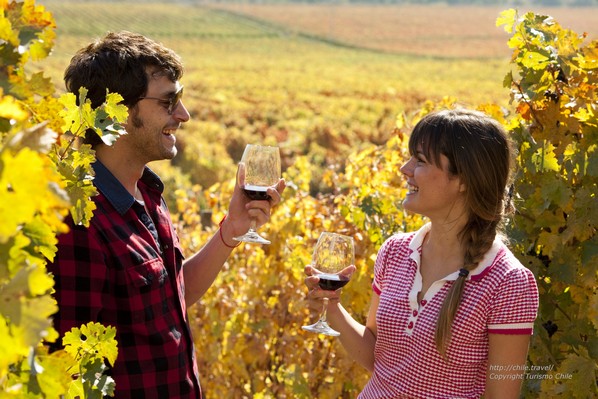 Visite d’un vignoble et dégustation de vin entre Santiago et Valparaiso