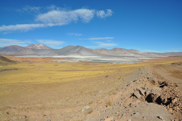 Salar de Talar et Piedras Rojas - San Pedro