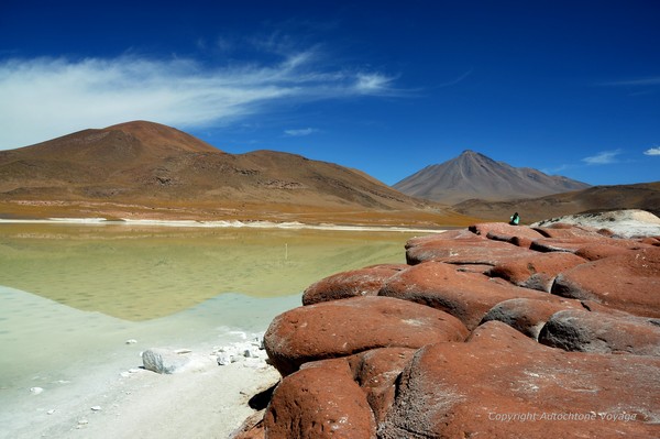 Les lagunes altiplaniques du Salar de Talar et de Piedras Rojas