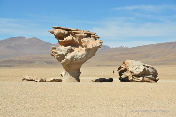 L’arbre de pierre dans le Désert de Siloli – Sud Lipez