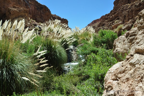 La rivière Puritama - Guatín