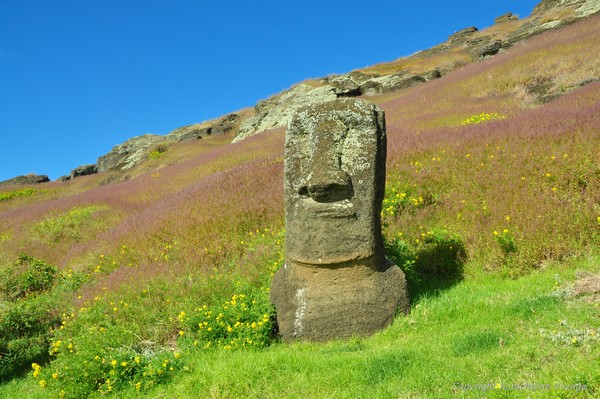 La carrière de Moaï du volcán Rano Raraku – Ile de Pâques