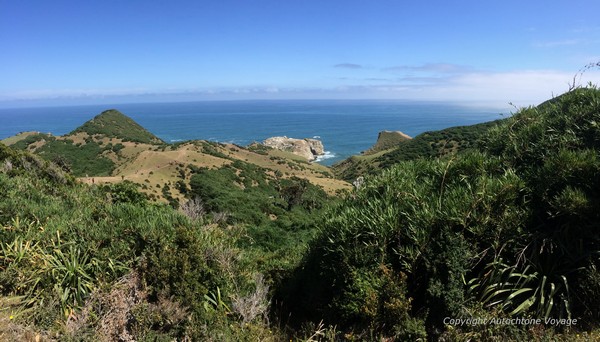 Le sentier du “Puente de las Almas” (Pont des âmes) – Cucao - Grande Ile de Chiloé